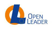 Open Leader